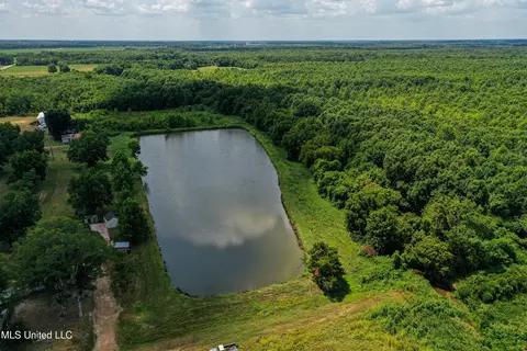 View/Area - 101 Tyler Ln, Sledge, MS 38670 photo 1 of 8