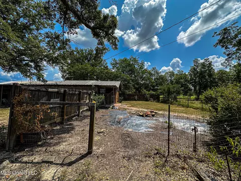 Exterior - 101 Tyler Ln, Sledge, MS 38670 photo 6 of 12