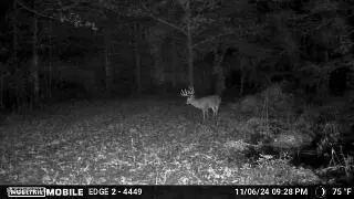Other - 101 Tyler Ln, Sledge, MS 38670 photo 39 of 39