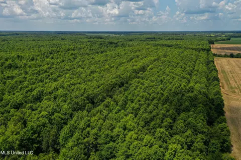 Other - 101 Tyler Ln, Sledge, MS 38670 photo 5 of 39