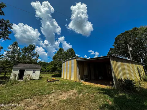 Exterior - 101 Tyler Ln, Sledge, MS 38670 photo 7 of 12
