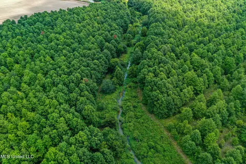 Other - 101 Tyler Ln, Sledge, MS 38670 photo 13 of 39
