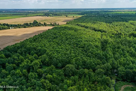 Other - 101 Tyler Ln, Sledge, MS 38670 photo 10 of 39