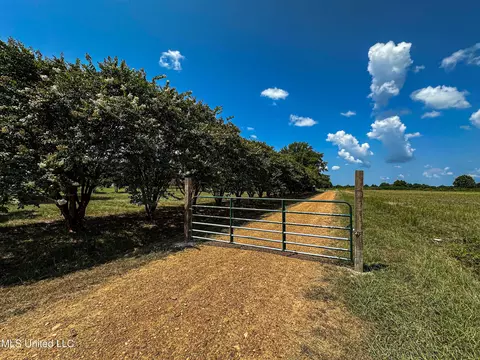 Other - 101 Tyler Ln, Sledge, MS 38670 photo 28 of 39