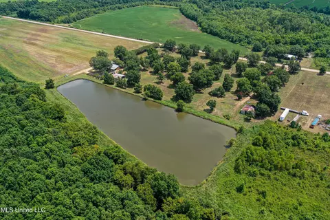 View/Area - 101 Tyler Ln, Sledge, MS 38670 photo 5 of 8