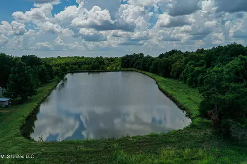 View/Area - 101 Tyler Ln, Sledge, MS 38670 photo 6 of 8