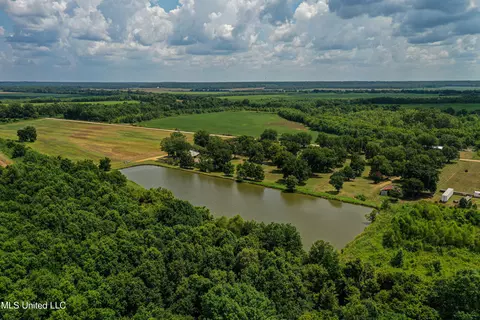 View/Area - 101 Tyler Ln, Sledge, MS 38670 photo 4 of 8