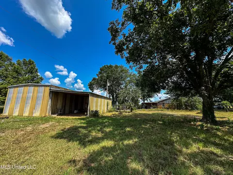 Exterior - 101 Tyler Ln, Sledge, MS 38670 photo 9 of 12