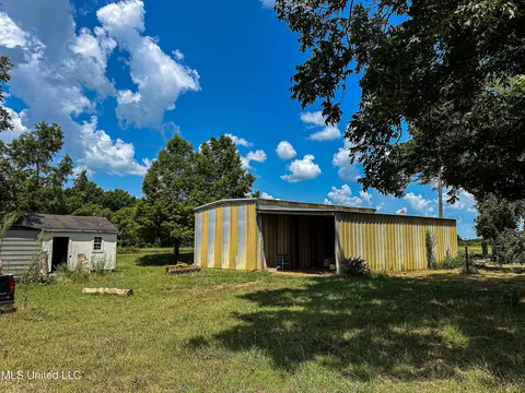 Exterior - 101 Tyler Ln, Sledge, MS 38670 photo 8 of 12