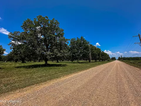 Other - 101 Tyler Ln, Sledge, MS 38670 photo 26 of 39