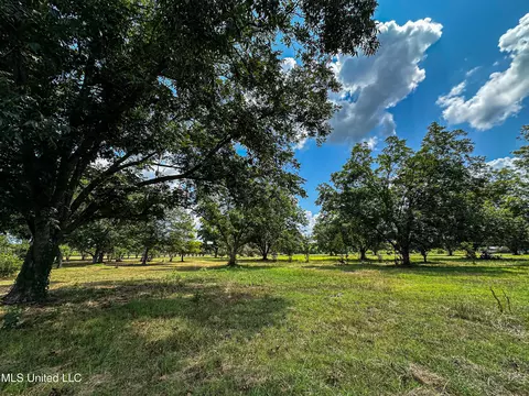 Other - 101 Tyler Ln, Sledge, MS 38670 photo 31 of 39
