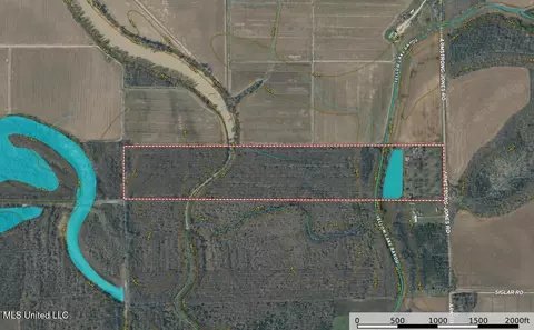 Other - 101 Tyler Ln, Sledge, MS 38670 photo 19 of 39
