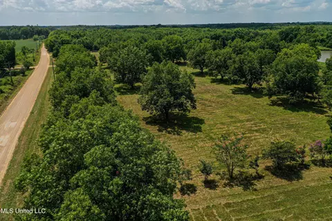 Other - 101 Tyler Ln, Sledge, MS 38670 photo 17 of 39