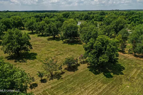 Other - 101 Tyler Ln, Sledge, MS 38670 photo 18 of 39