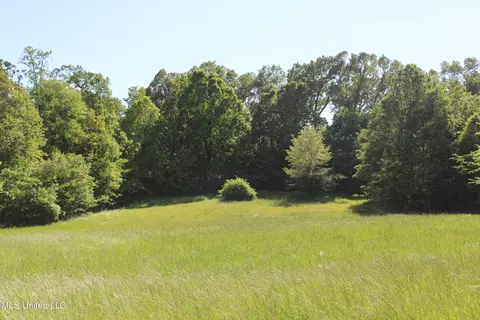 4900 Pepper Chase Dr, Southaven, MS 38671