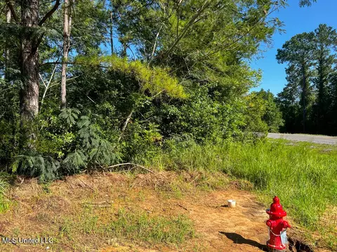 5 Ac Highway 612, Lucedale, MS 39452 photo 8