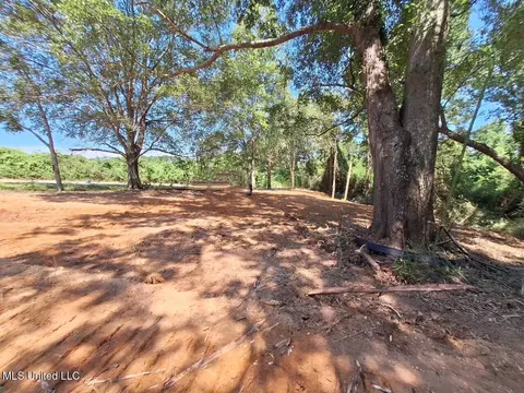 1033 Dry Creek Rd, Magee, MS 39111 photo 3