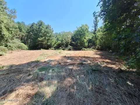 1033 Dry Creek Rd, Magee, MS 39111 photo 9