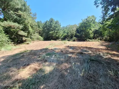 1033 Dry Creek Rd, Magee, MS 39111 photo 2