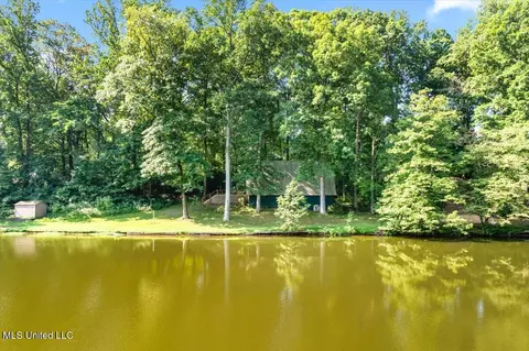 View/Area - 5210 Waikiki Cv, Hernando, MS 38632 photo 1 of 4