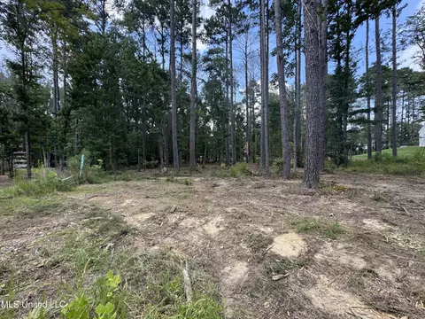 922 Brookhollow Ct, Flowood, MS 39232