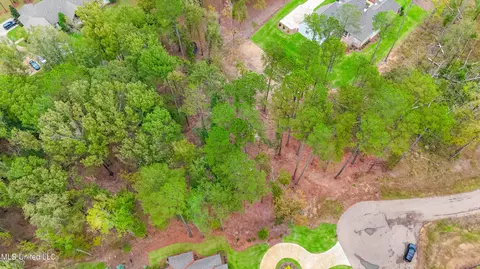 922 Brookhollow Ct, Flowood, MS 39232