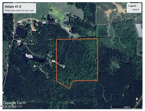 2338 Attala Rd 5236, Mccool, MS 39108 photo 24