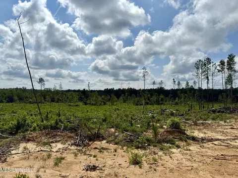 2338 Attala Rd 5236, Mccool, MS 39108 photo 17