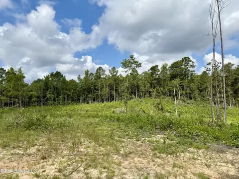 Attala Rd 5235, Mccool, MS 39108 photo 11