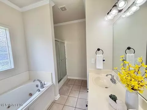 Bath - 629 Westhill Rd, Brandon, MS 39042 photo 3 of 3