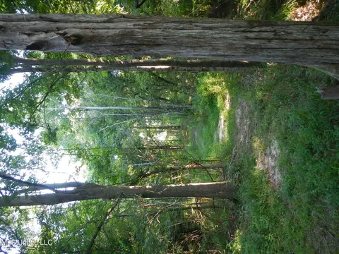 330 Honeycutt Rd, Yazoo City, MS 39194