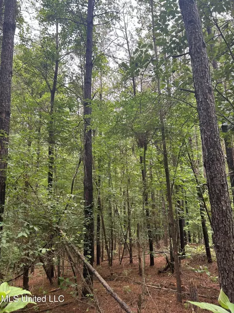 Pine Bluff Road, Cruger, MS 38924 photo 6