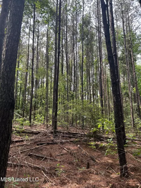 Pine Bluff Road, Cruger, MS 38924 photo 5