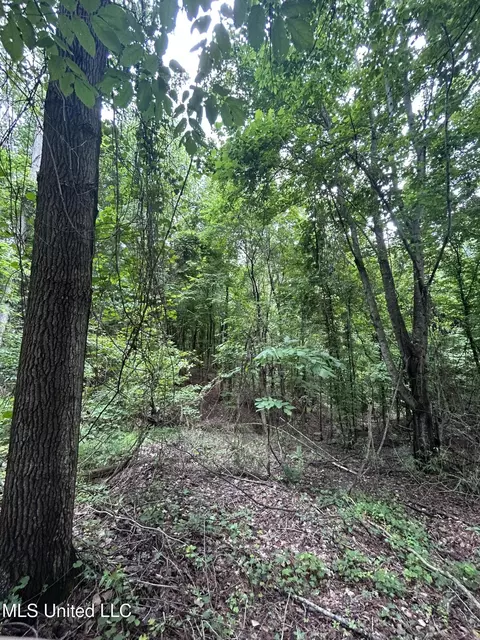 Pine Bluff Road, Cruger, MS 38924 photo 4