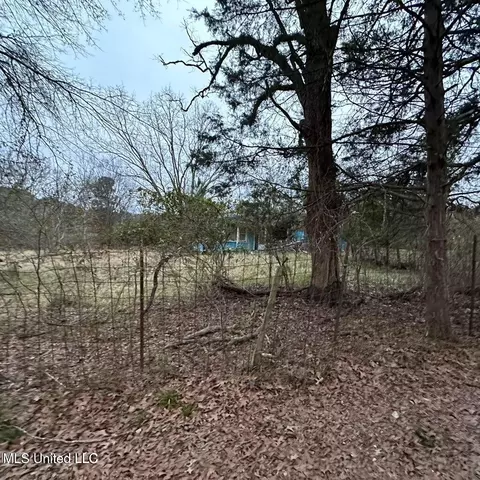 139 Critter Rd, Madison, MS 39110 photo 2
