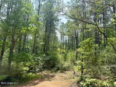 Centerville Road, Osyka, MS 39657