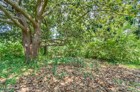 Exterior - 153 Peach St, Flora, MS 39071 photo 12 of 14