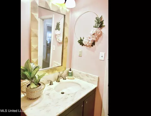 Bath - 153 Peach St, Flora, MS 39071 photo 9 of 10