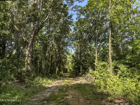 27 8, Marks, MS 38646 photo 86