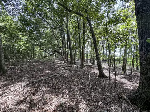 27 8, Marks, MS 38646 photo 109