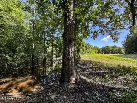 27 8, Marks, MS 38646 photo 89