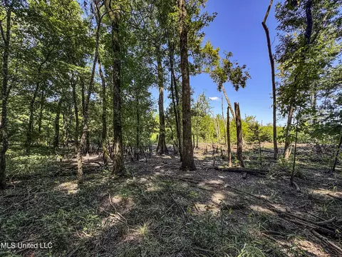 27 8, Marks, MS 38646 photo 122