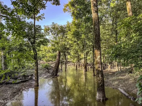 27 8, Marks, MS 38646 photo 114