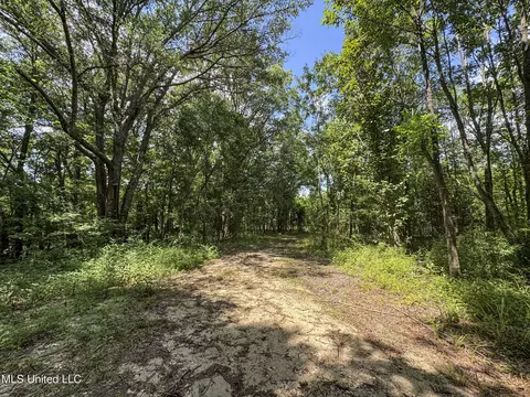27 8, Marks, MS 38646 photo 103