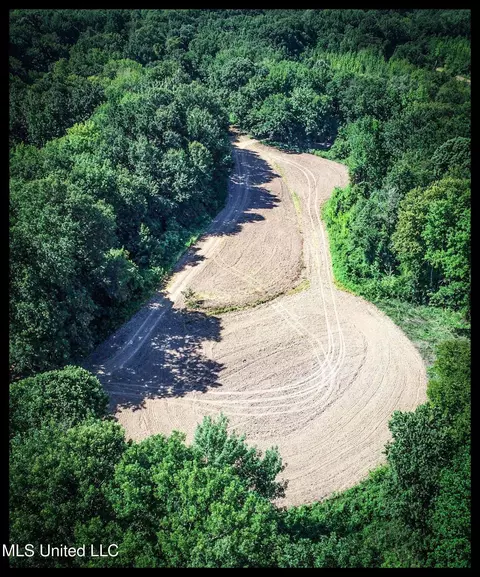 27 8, Marks, MS 38646 photo 11