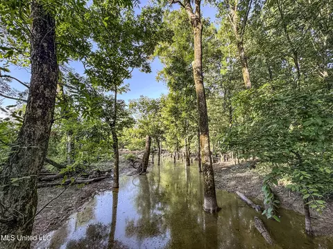 27 8, Marks, MS 38646 photo 115