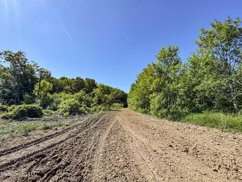 27 8, Marks, MS 38646 photo 120