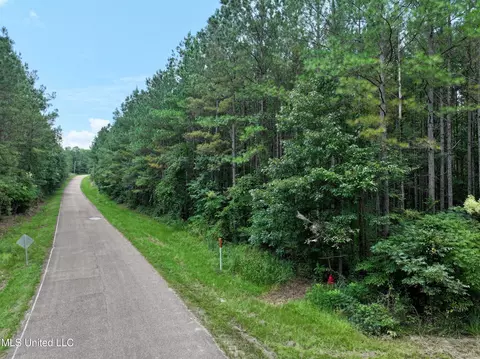 Miggins Road, Canton, MS 39046 photo 2