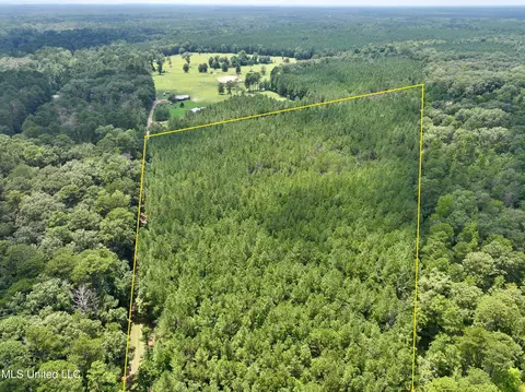 Miggins Road, Canton, MS 39046 photo 7