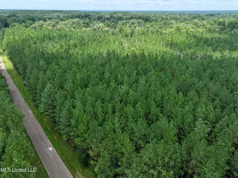 Miggins Road, Canton, MS 39046 photo 3
